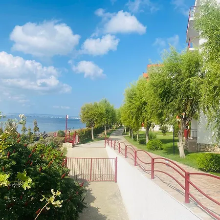 In Apartman Szveti Vlasz